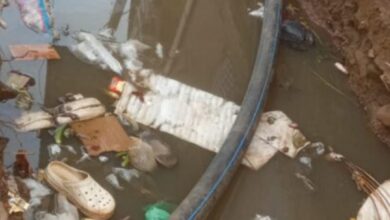 Screenshot 2024 07 15 09 37 19 727 com.whatsapp