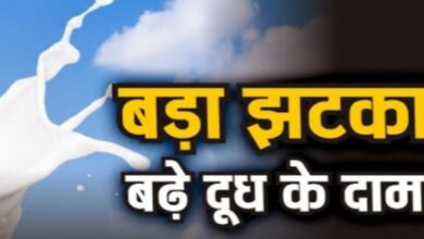 Screenshot 2024 07 16 19 17 16 899 com.miui .gallery