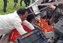 Screenshot 2024 07 20 13 22 48 044 com.whatsapp