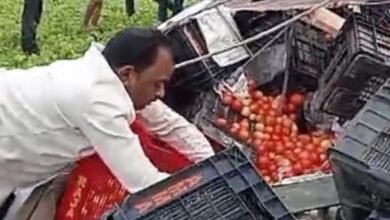 यहां मच गई टमाटर लूटने की होड़ : लोग केरटों में भर भर कर ले गए.....पढ़ें पूरी खबर 7 Screenshot 2024 07 20 13 22 48 044 com.whatsapp