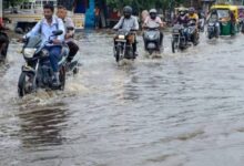 Screenshot 2024 07 20 14 31 07 345 com.miui .gallery