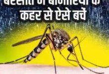 Screenshot 2024 07 24 10 59 19 359 com.miui .gallery