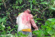 Screenshot 2024 07 27 14 03 09 469 com.whatsapp