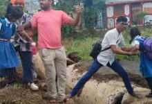 Screenshot 2024 07 27 23 48 47 412 com.whatsapp