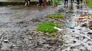 Screenshot 2024 07 29 18 27 29 787 com.whatsapp