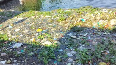 अपना अस्तित्व खो रहे तालाब : प्रशासन नहीं दे रहा ध्यान, पुरैना तालाब की स्थिति दयनीय 6 Screenshot 2024 07 30 09 51 51 464 com.whatsapp