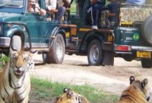 Screenshot 2024 07 30 14 23 11 671 com.whatsapp