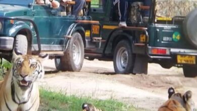 Screenshot 2024 07 30 14 23 11 671 com.whatsapp