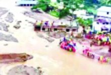 Screenshot 2024 07 31 11 53 14 306 com.whatsapp