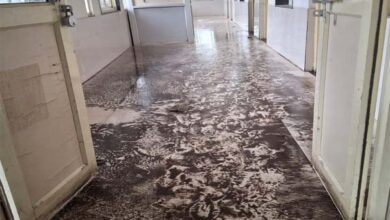 Untitled 9 copy 3