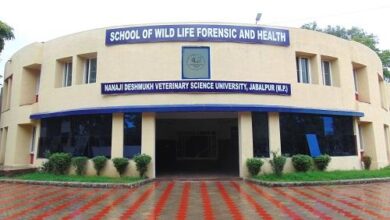 1563352839phpC9tR9A g