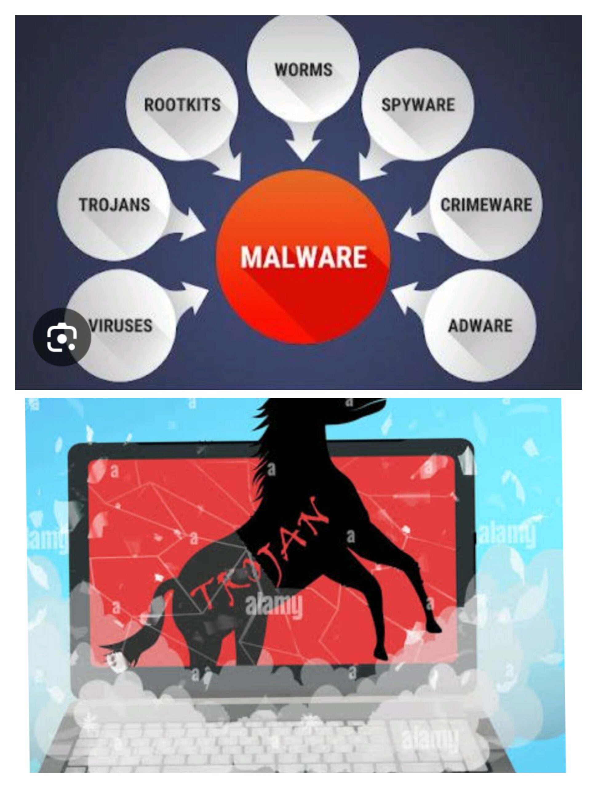 IMG 20240803 181009 scaled