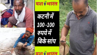 कटनी में 100 - 100 रुपये में बिके सांप, सपेरों से खरीदकर जंगल छोड़े 12 सर्प 8 IMG 20240809 164632