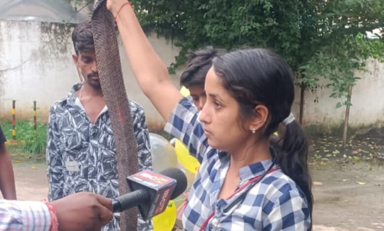 सपेरों के चंगुल से मुक्त कराए सांप, जंगल में छोड़कर दिखाई मानवीयता 1 IMG 20240809 171725