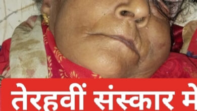 InShot 20240816 143031735