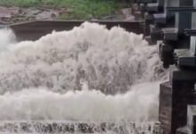 Screenshot 2024 08 02 10 29 04 125 com.miui .gallery