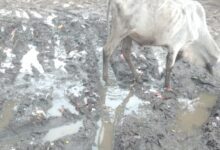 Screenshot 2024 08 02 17 19 20 974 com.whatsapp