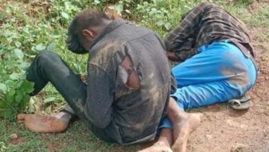 Screenshot 2024 08 03 23 33 09 731 com.whatsapp