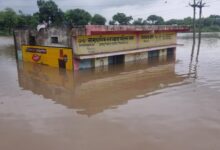 Screenshot 2024 08 04 17 46 28 680 com.whatsapp