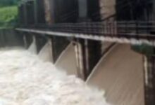 Screenshot 2024 08 05 10 45 51 841 com.whatsapp