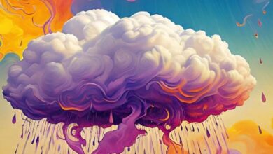 मध्य प्रदेश में मंडला जिले में हुई सबसे अधिक बारिश : फिर उमड़ आए कारे बदरा....घनघोर वर्षा जारी 9 Screenshot 2024 08 07 15 47 32 974 com.whatsapp 1