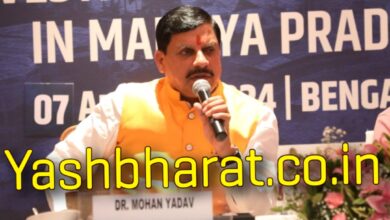 Screenshot 2024 08 07 22 35 22 594 com.miui .gallery