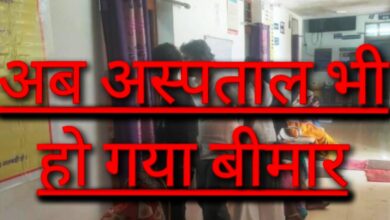 Screenshot 2024 08 08 10 08 16 730 com.miui .gallery