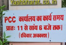 Screenshot 2024 08 08 12 25 58 795 com.miui .gallery