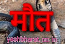 छोटे भाई के लिए खरीदी थी राखी, सर्पदंश से भाई की मौत... सर्पदंश के तीन मामले, दो की मौत, एक उपचाररत 10 Screenshot 2024 08 09 22 18 28 166 com.miui .gallery