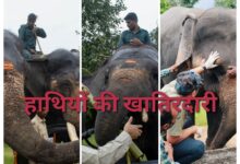 Screenshot 2024 08 11 15 00 13 338 com.miui .gallery 1