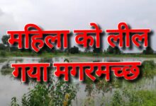 Screenshot 2024 08 12 11 55 35 039 com.miui .gallery