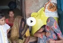 Screenshot 2024 08 12 12 57 50 278 com.miui .gallery