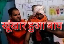 Screenshot 2024 08 12 13 16 00 194 com.miui .gallery