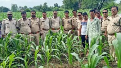 पेंच नेशनल पार्क से भटककर एक तेंदुआ अपने दो शावकों के साथ रहवासीय क्षेत्र में घुसा : दहशत का माहौल ; वन विभाग कर रहा सर्चिंग 7 Screenshot 2024 08 12 18 42 13 930 com.ak .ta .dainikbhaskar.activity