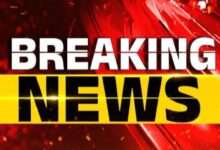 Screenshot 2024 08 18 10 28 57 514 com.miui .gallery 1