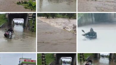 Screenshot 2024 08 22 19 49 50 327 com.miui .gallery