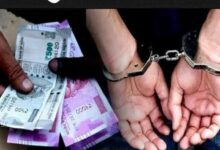 Screenshot 2024 08 24 10 45 41 796 com.miui .gallery