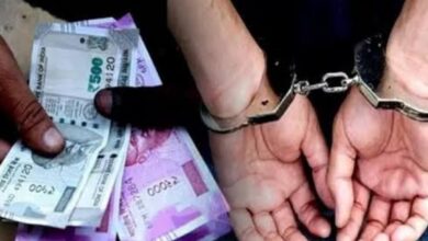 Screenshot 2024 08 24 10 45 41 796 com.miui .gallery