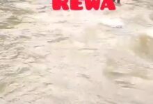 Screenshot 2024 08 25 19 15 17 390 com.whatsapp