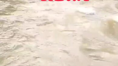 Screenshot 2024 08 25 19 15 17 390 com.whatsapp