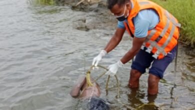 तालाब में डूबने से युवक की मौत : क्षेत्र में हड़कंप, उटकटा दरबाई ग्राम के समीप का मामला 8 Screenshot 2024 08 27 19 17 03 302 com.whatsapp