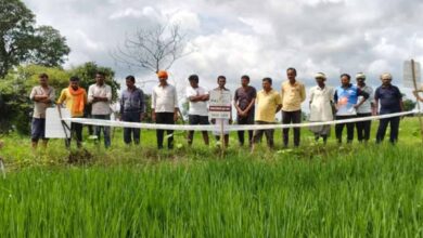 Screenshot 2024 08 28 09 28 32 828 com.whatsapp