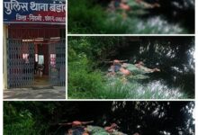 Screenshot 2024 08 28 14 23 55 889 com.miui .gallery