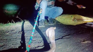 Screenshot 2024 08 31 13 31 03 503 com.whatsapp