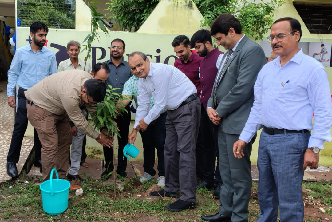 Screenshot 20240827 123626 WhatsApp2