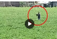 Screenshot 2024 0814 222635