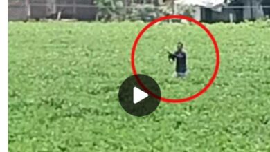 Screenshot 2024 0814 222635