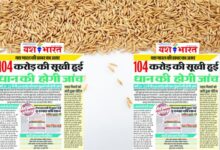 यश भारत की खबर का असर: 104 करोड़ की सूखी हुई धान की होगी जांच 11 WORKOUT 22