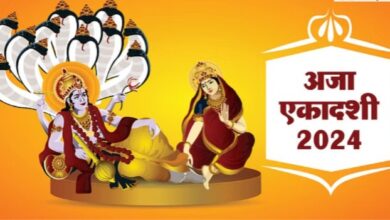 WhatsApp Image 2024 08 20 at 2.42.47 PM