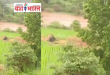 एयर इंडिया का विमान हादसे का शिकार होते होते बचा 30 2